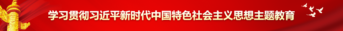 學習貫徹習近平新時代中國特色社會主義思想主題教育